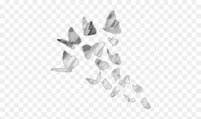 Do not limit yourself to conventional methods and see the potential in any concept. Butterfly Sketch Animals Aesthetic Tumblr White Aesthetic Butterfly Drawing Ideas Hd Png Download Vhv