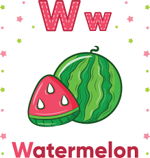 Alphabet Flashcard Letter W With Cute Watermelon Drawing 6260018 Vector Art At Vecteezy