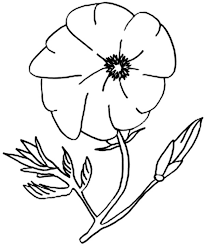 Push pack to pdf button and download pdf coloring book for free. California Poppy Image Coloring Page Kids Play Color