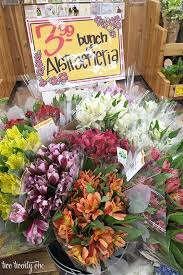 The store website allows users to sign up for the email newsletter. Trader Joe S Fresh Flowers Trader Joes Flower Pictures Beautiful Flowers Pictures