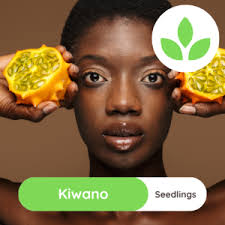 Seed Potatoes for sale