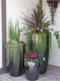 Hugedomains Com Potted Plants Outdoor Plants Container Plants