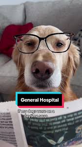 General Hospital: If My Dogs Were