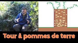 Les couper dans le sens de la longueur et les placer sur une plaque au four, face bombée contre la plaque. Tour A Pommes De Terre Partie 1 2 Youtube