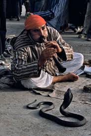 Charming The Snake Marrakesh Morocco Steve Mccurry Morocco People Of The World