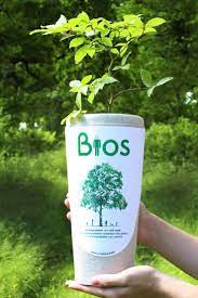 Pick a place to plant your tree and reach out to the company for assistance if you need help finding the best spot to ensure maximum growth. 12 Best Memorial Jewelry Ashes Ideas Memorial Jewelry Memorial Jewelry Ashes Cremation Jewelry