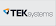 TEK Systems