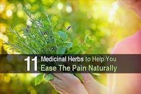 Pin On Herbal And Natural Remedies
