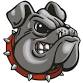 Springdale Bulldogs vs Bentonville Tigers event image