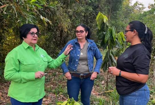 🌱 La Dra. Margaret Guti&eacute;rrez, presidenta del INIA, visit&oacute; la sede de  Guasdualito (INIA Apure), donde se reuni&oacute; con los trabajadores para  escuchar propuestas orientadas al fortalecimiento institucional. Durante el  encuentro, inst&oacute;