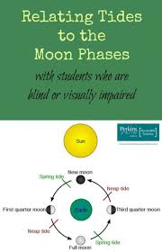 Relating Tides To The Moon Phases Science Science Activities Moon Phases