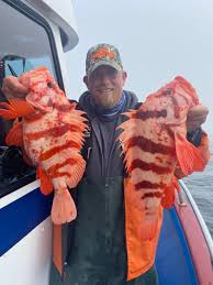 We did not find results for: Crescent City Fishing Charters Archives Brookings Fishing Reports