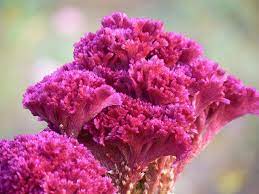 Pin On My Favorite Colour