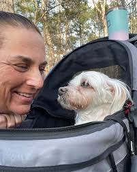 Today's daily affirmations from Furangel Mellow B about moments: 1. “Every  moment is a chance to choose love over fear.” 2. “The smallest moment can  carry the biggest spark of joy—don't miss