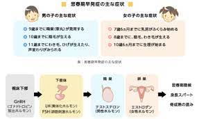リュープリン治療？思春期早発症について | しだ小児科クリニック院長のブログ
