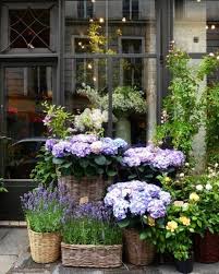 Instagram Clangart Floral Flowers Hydrangea Purple Roses Shop Yellow Garten Deko Pflanzen Garten