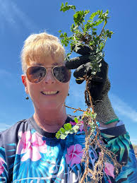 Does anyone need a composter for free?