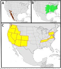 Figure 3 1 From Studies On The Walnut Twig Beetle Wtb Pityophthorus Juglandis In Relation To Its Association With Geosmithia Morbida Its Survival In Felled Logs And Its Sensitivity To Temperature Extremes