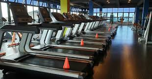 Friendly Muscle Fitness FMF