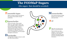 Image result for FODMAP