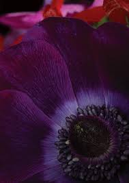 KWF Kärntner Wirtschaftsförderungs Fonds Das Jahr 2017 Förderungsanhang:  Richtlinien- und Programmdetails