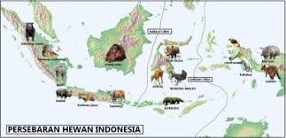 Berikut ini adalah daftar lengkap aneka flora dan fauna yang populasinya dilindungi berdasarkan pp no. Kali Ini Akan Dibahas Tentang Persebaran Flora Dan Fauna Di Indonesia Beserta Gambar Sederhana Untuk Memudahkanmu Mengingat Gambar Flora Dan Fauna Flora Hewan