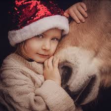 Diana Kraft Fotografie