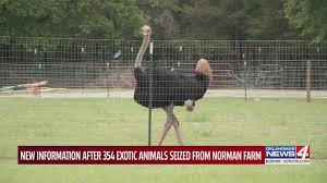 Check spelling or type a new query. Norman Veterinarian Owner Of 354 Seized Exotic Animals Declines Comment On Case Kfor Com Oklahoma City