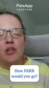 A massive well done and thank you to pack members @wmonk @erin.r.monk and  Ziggy 💙 Who completed the Ullswater hike with other awesome members of our  greater veterinary community, organised by @veterinary_voices