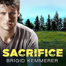 Amazon.com: Spirit: Elemental, Book 3 (Audible Audio Edition): Brigid  Kemmerer, Graham Halstead, Tantor Audio: Books