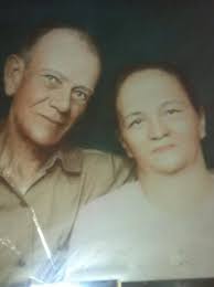 What information is available about the Bolin family?