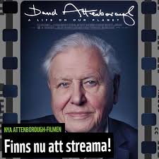 ÄNTLIGEN: ATTENBOROUGH PÅ NETFLIX! 👴🏻🎥 Glad nyhet för alla naturälskare!  I dag den 4 oktober har den nya filmen David Attenborough: A Life On Our  Planet premiär på Netflix! WWF har varit