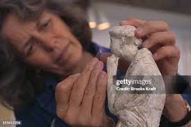 145 Jencks Stock Photos, High-Res Pictures, and Images