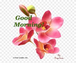 Good morning love of my life. Good Morning Good Morning Love Gif Animation Free Transparent Png Clipart Images Download