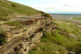 On The Trail Of The North American Buffalo Arcgis Hub