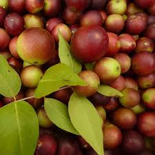 Camu Camu The Next Great Superfood Nutritional Therapy Superfood Vitamin C Foods