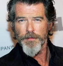 der sonst eher glattrasierte james bond darsteller pierce brosnan hat sich im jahr 2005 einem bartexpe bart stile bartstile fur manner altere herren frisuren