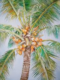 Inviting nature into our life opens new opportunities for changing yard landscaping and designing bright wang yue uses tree trunks for creating artworks, but her painting can inspire more creative yard landscaping ideas and backyard decorating projects. Coconut Tree By Jelly Starnes Watercolor Painting Palm Trees Painting Coconut Tree Drawing Coconut Tree