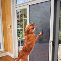 Repair your screen door yourself with step by step instructions using phifer's pet screen. Petscreen Pet Resistant Screen