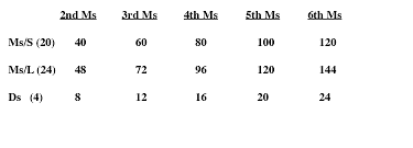 how to understand the lcm part 1 mathchat