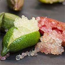 The trees grow naturally in the rainforest and taller specimens are usually growing within denser shade. Special Deal Finger Lime Citrus Australasica Sanguinea Caviar Lime Tree Buy Online In India At Desertcart In Productid 54459414