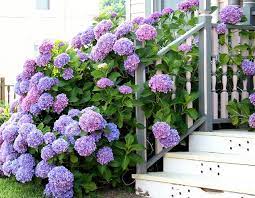 Pin On Fantastic Home Decor Ideas