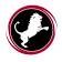 NEMEAN SOLUTIONS LLC logo