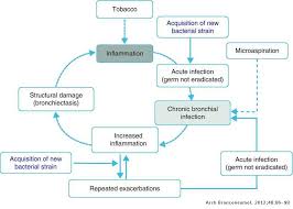 It's a progressive disease that affects your lungs and your ability to breathe. Clinical Phenotypes Of Copd Identification Definition And Implications For Guidelines Archivos De Bronconeumologia