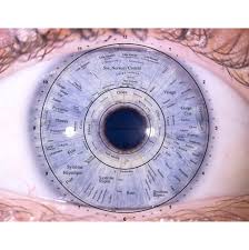 Elle est très satisfaite du résultat. selon lui, il est possible de changer la couleur de ses yeux en n'importe concurrence. L Iridologie L Iris De Nos Yeux Revele Notre Etat De Sante Femininbio