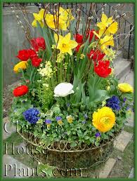 Beautification By Tu Bloom Luxury Garden Designs Beautiful Flowers Garden Spring Garden Container Gardening Flowers