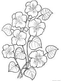 Bidikan bunga bunga di floria putrajaya 2012 orchids flowers bunga. 15 Best Lukisan Bunga Ideas Corak Sulaman Bunga Hiasan Lukisan Cat Air