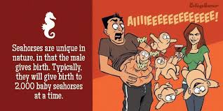 Birth is the story of a pregnant woman giving birth to her son in prison. Amazing Facts About Animals Giving Birth Followed By Hilarious Cartoons Lolcats N Funny Pictures I Can Has Cheezburger Bloglovin