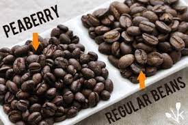Best Peaberry Coffee Beans For 2021 Reviewed Kitchensanity Peaberry Coffee Buy Coffee Beans Beans