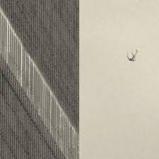 Check spelling or type a new query. A Lack Of Resolution Britlit